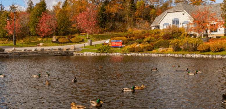 Fall foliage / Outdoor camping / RV camping